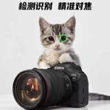 [Ali Self -занято] Canon R6 Second -Generation Full -Frame Professional Microstructure EOS R6 Mark2II