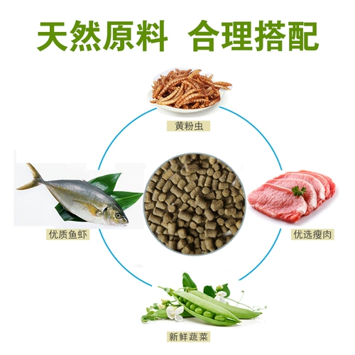 Черепаха Черепаха кормит китайские черепахи Cao Foods Cao Turtle Feed Turtle Foods Бразильская черепаха Общая еда чернила черепаха