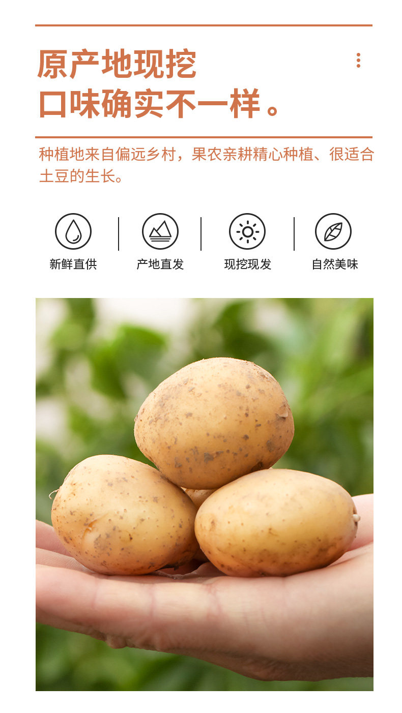 O1CN015edwu01urH5IzYmes_!!2213916586090.jpg