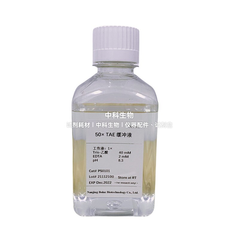 BOLAZ 50&times; TAE 缓冲液，10&times; TBE 缓冲液，常用的核酸电泳缓冲液