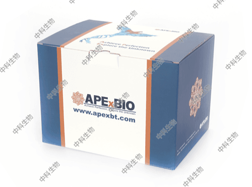 APExBIO活-死细菌染色试剂盒，区分活细菌和死细菌，细菌死活双染