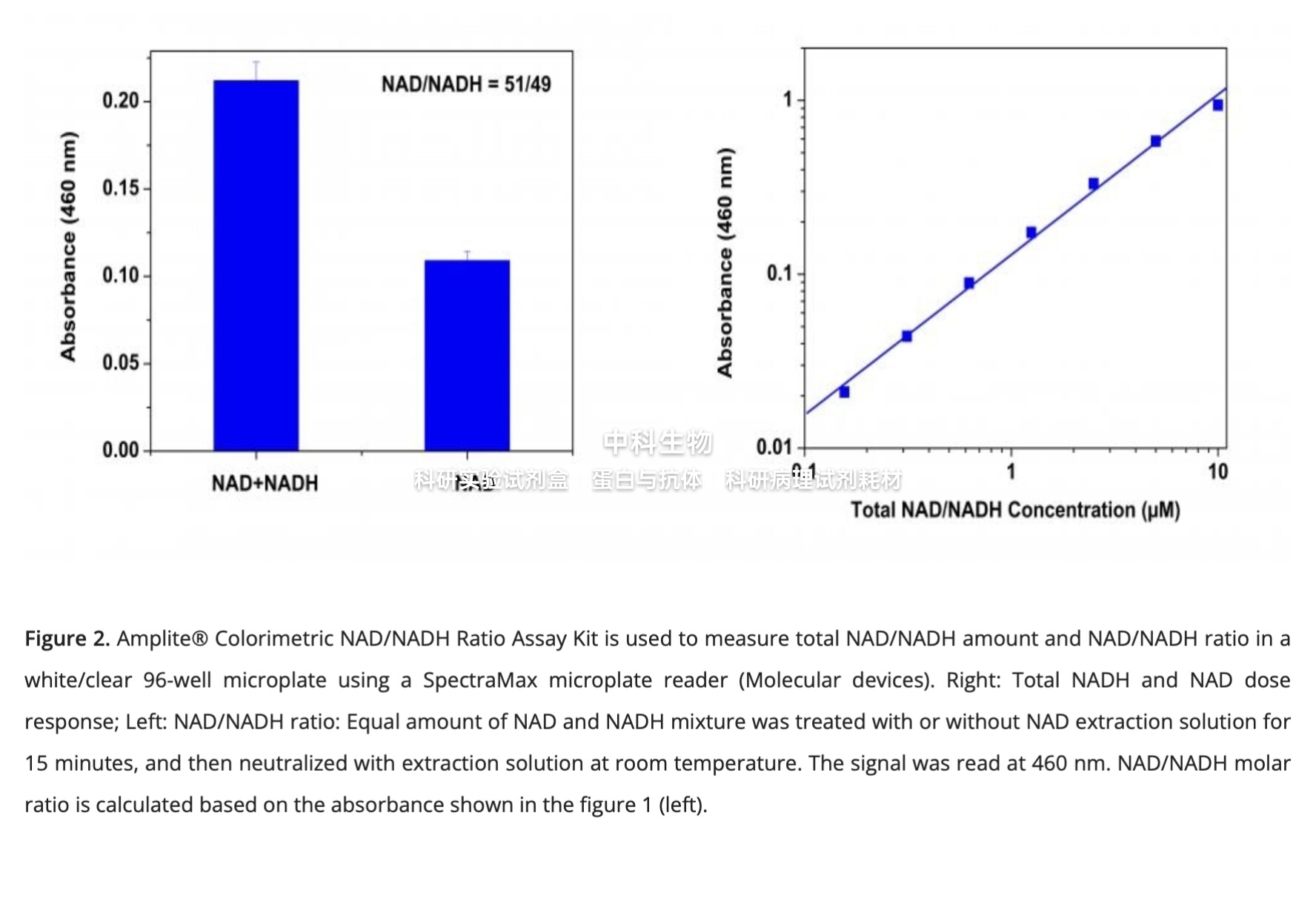 美国AAT Amplite NAD/NADH比率检测试剂盒(比色法)，用于细胞检测