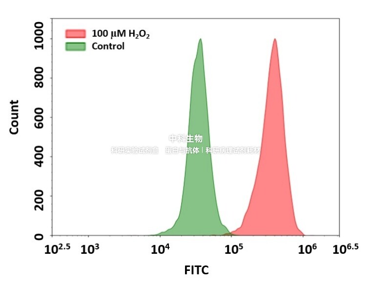 AAT美国OxiVision Green过氧化氢(H2O2)检测探针用于检测过氧化氢