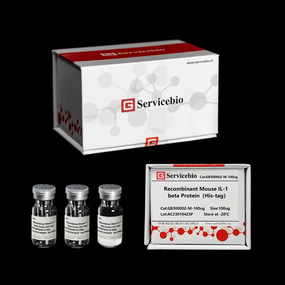 Servicebio  重组小鼠IL-1&beta;蛋白（His标签），GB300002-M-10&mu;g