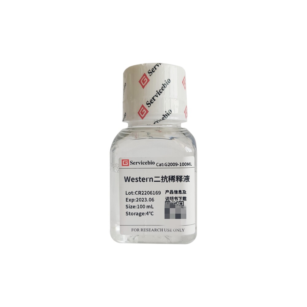 Servicebio  Western二抗稀释液 western blot蛋白印迹实验 100ML
