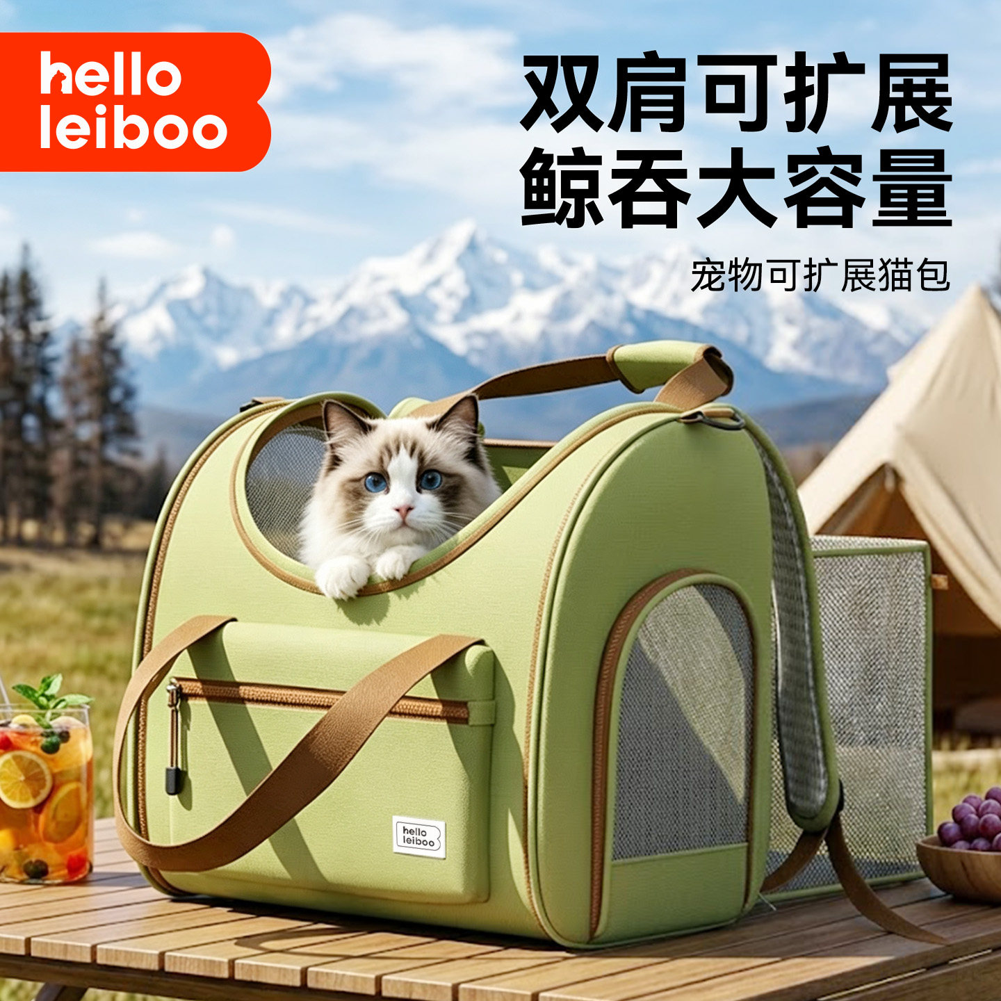 猫包外出便携宠物猫咪狗外出双肩背包大容量不塌陷可扩展折叠书包