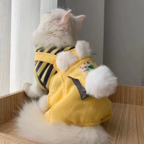 Кошачья одежда предотвращает выпадение волос осенью и зимнее голубые кошачьи тряпки безволоса