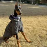 Демисезонная светоотражающая куртка с капюшоном для выхода на улицу, подходит для подростков