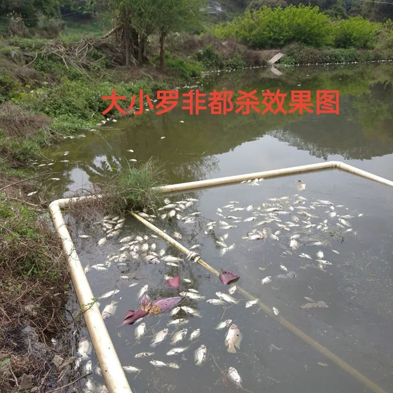 Лекарство для убийства tilapia убивает тиляпий, очищает тиляпий, быстро убивает тиляпий, убивает тиляпий в прудах для рыбы, водохранилищах, рыболовных угодьях, убивает тиляпий