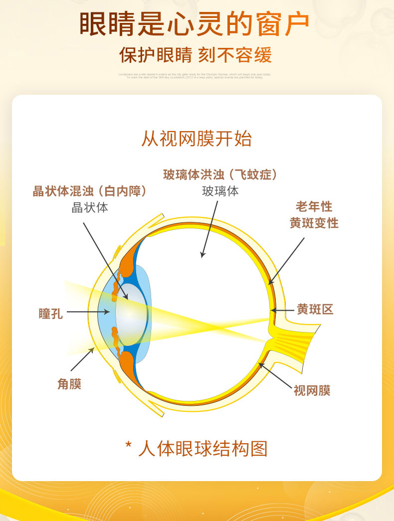 美国进口 LINDBERG 利得盈养 护眼叶黄素胶囊 60粒 图3