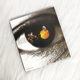 Authentic Record of Tao Zhe's 2002 Album Black Tangerine Cd+Lyrics Book