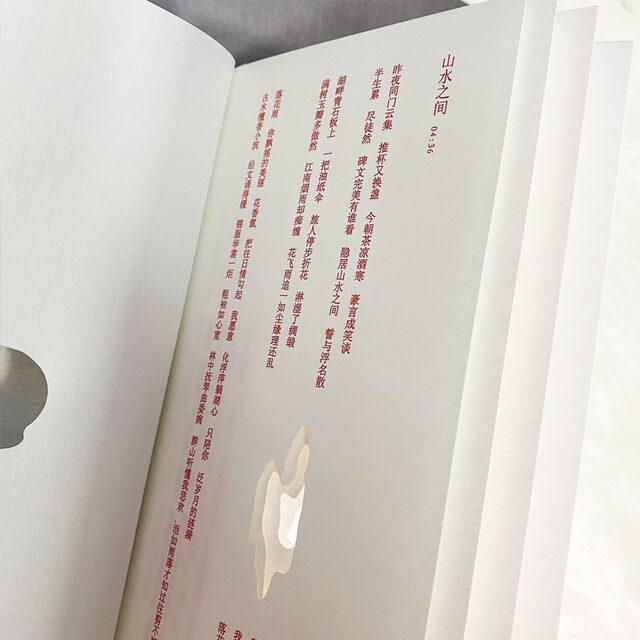 Authentic In-Stock Product: Xu Song's 2014 New Album 