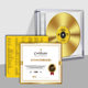 Authentic Sandy Lam 1:1 Gold Master Disc Direct Recording Lossless Sound Source High-Quality Car Cd Disc Audiophile Vocal