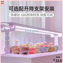 Plant Tonic Light Imitation Sun Full Spectrum Plant Lamp Growth Light Ctrip Plant Light Full Spectrum Plant Tonic Light lamp
