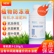 Anti-frost cold and anti-freeze plant antifreeze liquid for fruit trees vegetables garlic seedlings flowers and crops winter antifreeze liquid