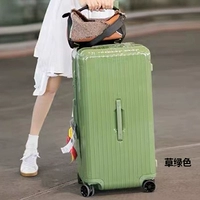 Трава зеленая [модная лапша] сгущенные тарелки