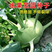 水果苤蓝种子春秋青苤兰种籽疙瘩球茎甘蓝大头菜种子易种蔬菜种孑