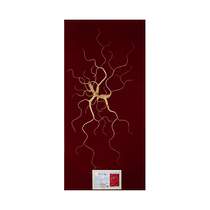 God rhymes Changbai Mountain Principal Noyamas gift box More than 50 years with (national inspection certificate) sent to lead the elders upscale