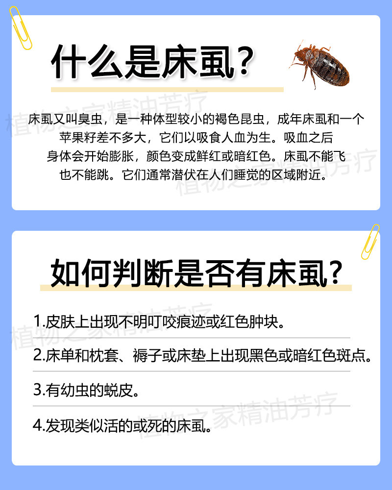 印度苦楝油杀虫薄荷精油去床虱精油臭虫床上用木虱去床虱宠物虱真的有效吗？_单方精油_淘宝美妆网