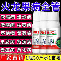 Complete treatment of pitaya diseases pitaya fungicides microbial inoculants rapid sterilization of canker soft rot anthracnose