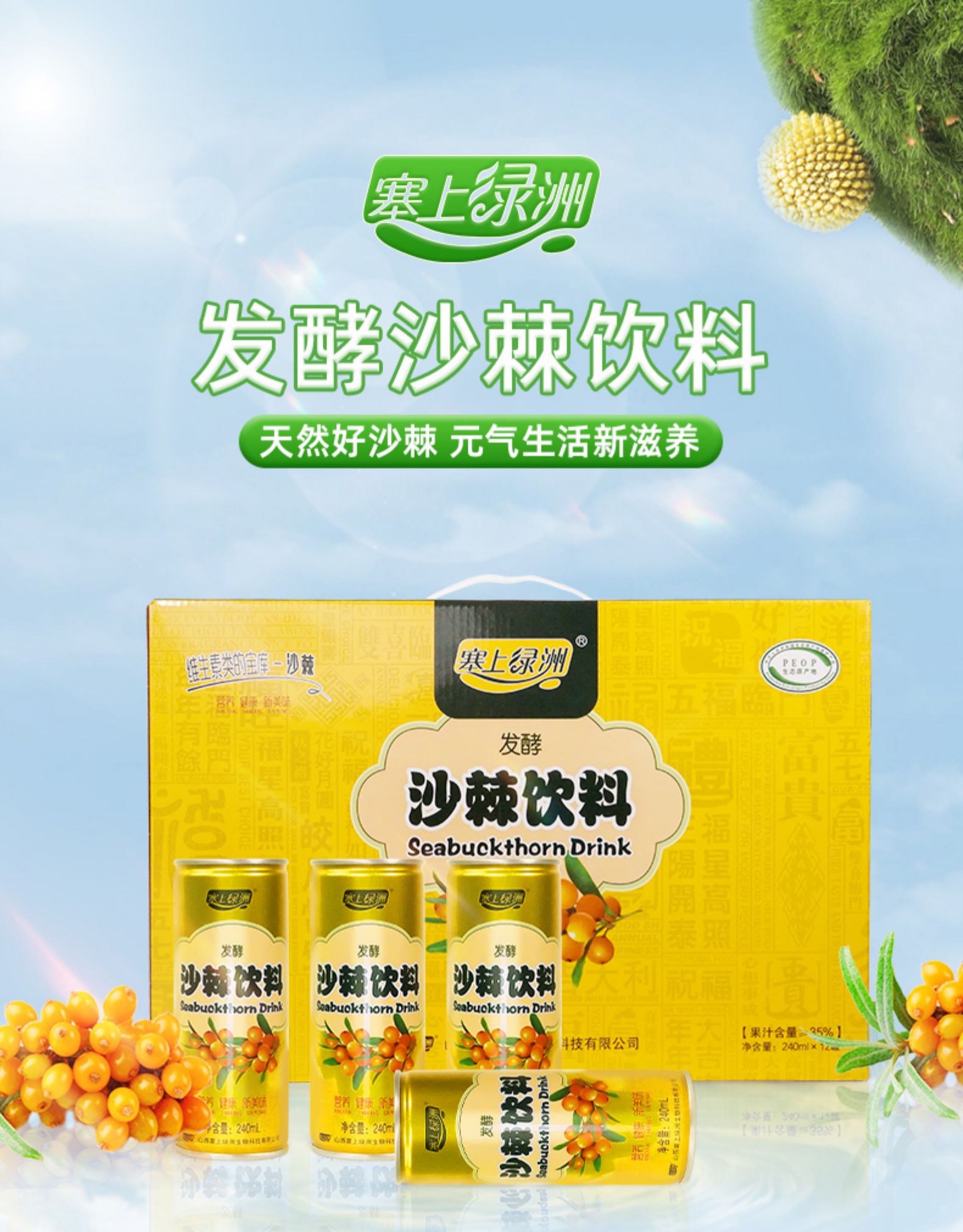 塞上绿洲 山西特产沙棘饮料240mlx8罐 券后29.9元包邮 值值值-买手聚集的地方