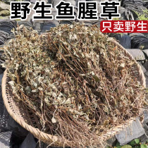 Dried Houttuynia cordata wild fresh folded root tea bags soaked in water and drank naturally dried sulfur-free Hunan Chinese herbal medicines