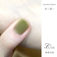 C30 Зеленая дикая фея