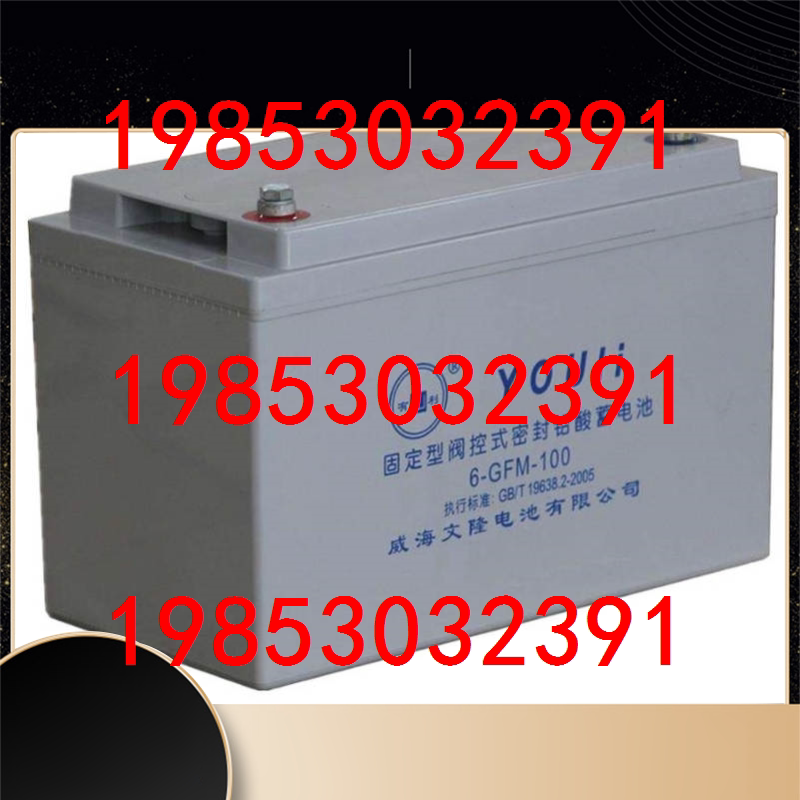 YOULI beneficial maintenance-free battery 6-GFM-100 computer room power supply system UPS emergency power supply