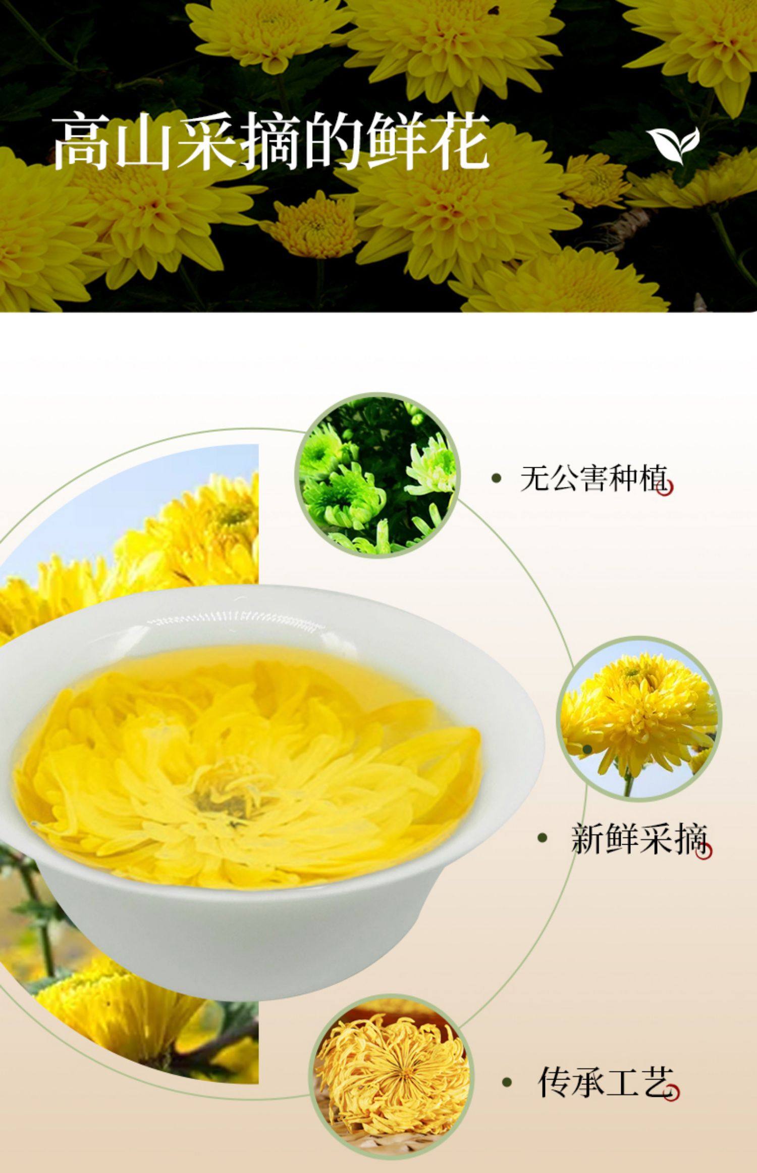 百年老字号 江祥泰 金丝皇菊 0.5g*20朵独立装 天猫优惠券折后￥9.9包邮（￥24.9-15）