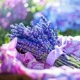 Капсулы Lavender 200+органические удобрения [купить два получите один бесплатно]
