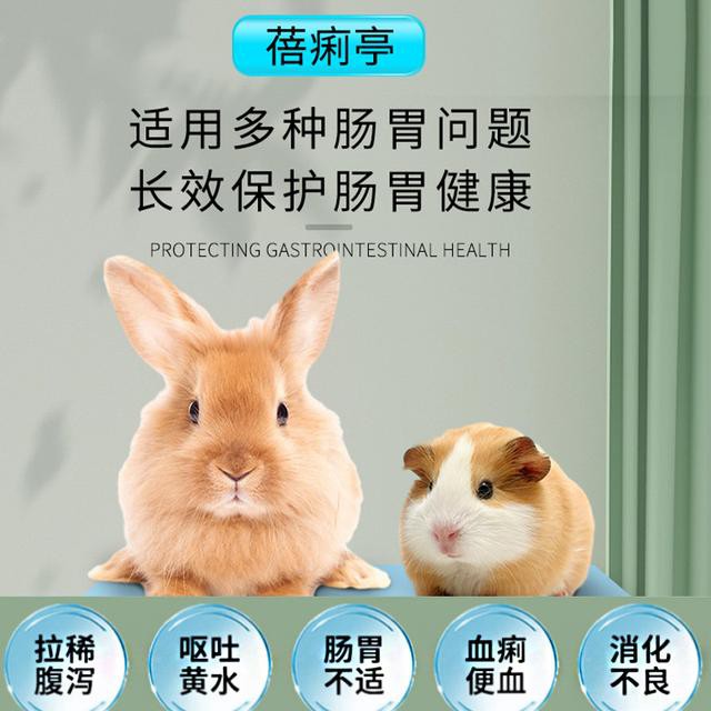 蓓嘉思仓鼠拉稀腹泻怎么办？兔子金丝能花枝鼠拉肚子呕吐小宠专用急救攻略！