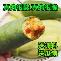 Guangxis specialty green mango sour and crispy 5 pounds freshly picked and pickled sour and crispy for pregnant women. A whole box of fruit with seasoning included.