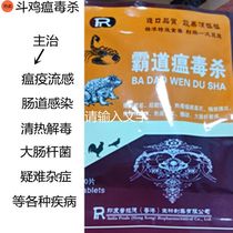 Fighting cock medicines fighting cock cold medicine prevention of chicken plague fighting cocks dropping yellow white green and red feces chicken plague