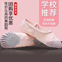 Dance Shoes Children Female Adults Soft Bottoms Practice Shoes Toddlers Body Cat Paws Dancing Shoes Girl Name Group Ballet Shoes