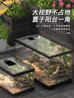 Восхождение коробка размножения домашних животных Акриловая змея -хорнгун Лягушка -паука