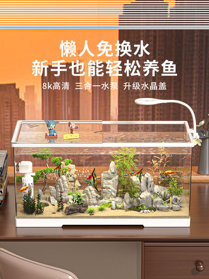小型鱼缸家用桌面客厅小型电视柜旁超白生态过滤深水乌龟缸养龟箱
