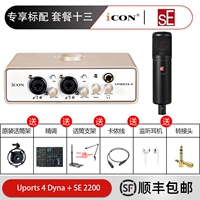 Пакет тринадцать