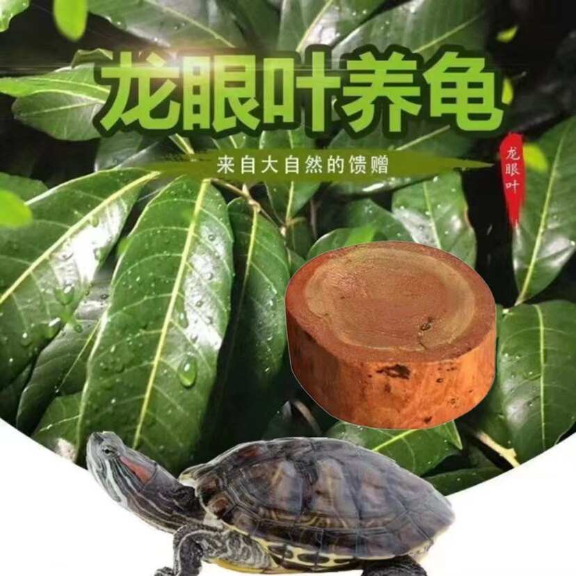 佳凡水族用品的LOGO