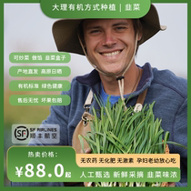 Organically grown leeks fresh three delicacies stuffed dumplings freshly cut open-air old varieties seasonal Yunnan vegetables SF