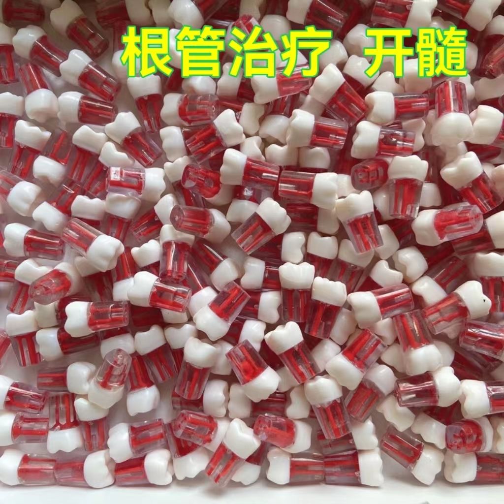 牙科练习考试用开髓牙粒 带髓腔根管牙 离体牙模型 仿真牙树脂牙