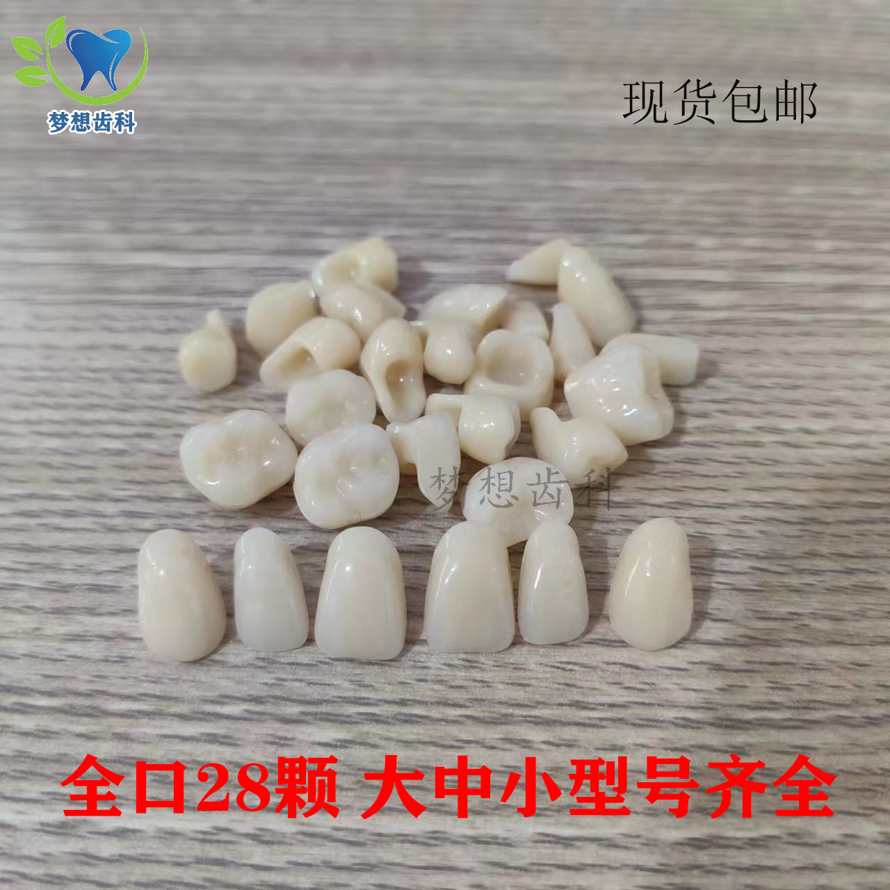 牙科散牙粒 教学模型学生练习排牙 树脂散牙粒全口 口腔齿科 包邮