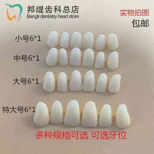 牙科散牙粒上下门牙上下大牙散装排牙练习加工厂用口腔齿科约50颗
