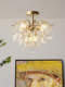 French living room ceiling lamp crystal amber clear light post-modern light luxury master bedroom dining room 2025 new lamps