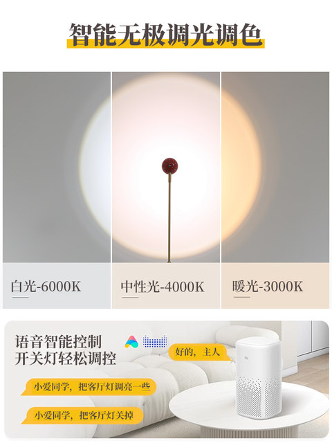 Living Room Floor Lamp Next to the Sofa, High-End Floor Atmosphere Lamp, Minimalist Bedroom Corner, Trendy Sunset Lamp