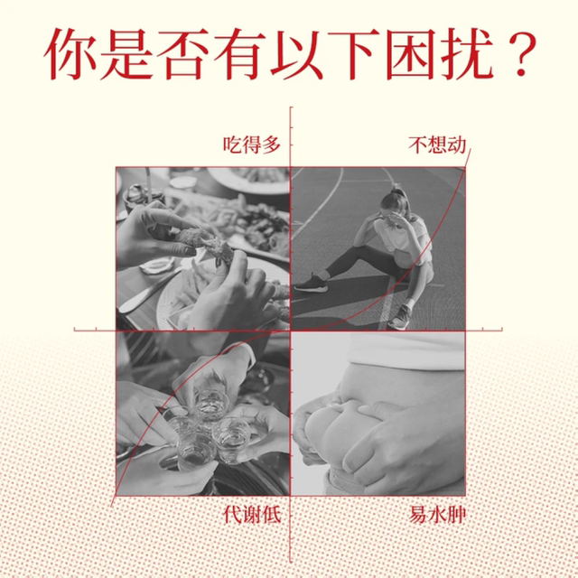 Chimeiyan Small Gold Bar Probiotics Weight Management Bacteria Gastrointestinal Health 30 Billion Live Bacteria Dinner Savior Slimming Bacteria