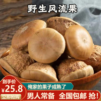 Guangxi wild romantic fruit 500g Chinese medicinal material Tianzhu grain fallen vine fruit thick scale wild stone fruit male soaking wine