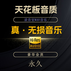 精选Hi-Res无损音乐 DSD音源 WAV母带下载 发烧HiFi网站终身会员