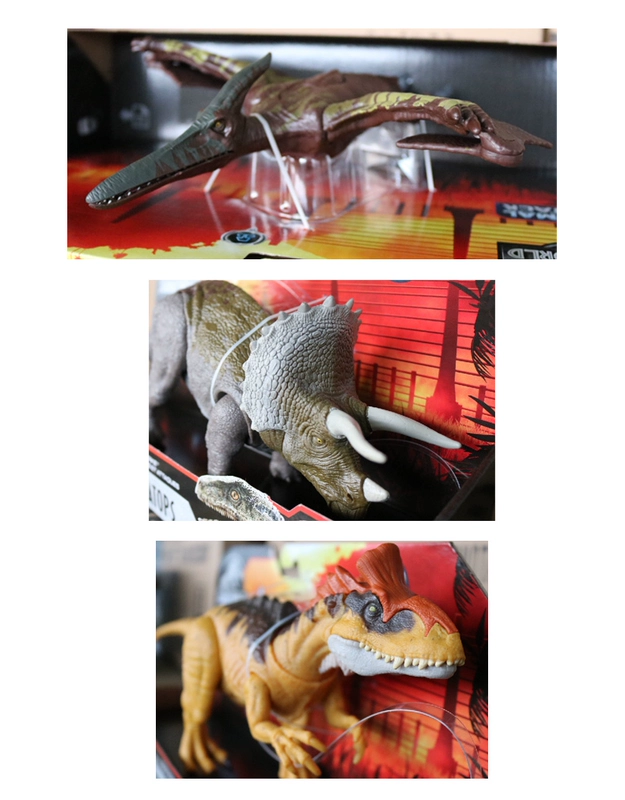 Mattel Jurassic World 2 Hiệu ứng âm thanh Khủng long cạnh tranh Gói đơn Pterosaur Ice Lophosaurus mô hình liên kết Đồ chơi GJN64 - Đồ chơi gia đình