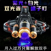Scorpion lamp scorpion special intense light super bright high power purple light headlights LED scorpion to catch scorpion professional scorpion lamp