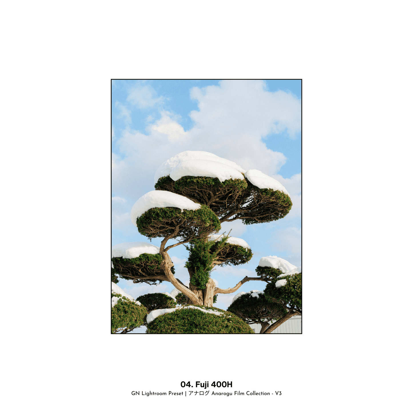 GN 胶片预设 アナログ Anarogu Film Collection – V3